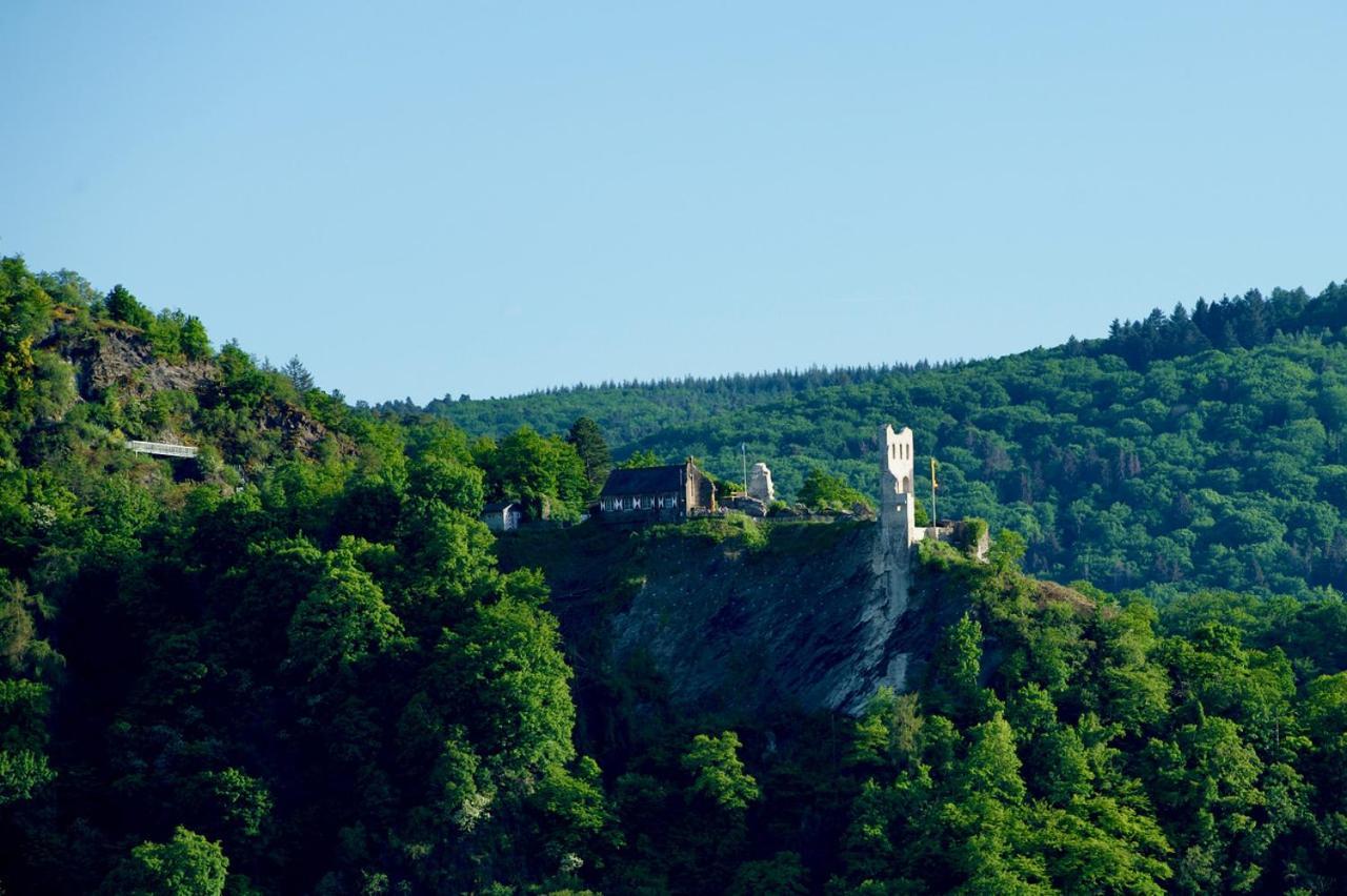 Neu - Premium-Ferienhaus Mosel-Sonne トラーベン・トラールバッハ エクステリア 写真
